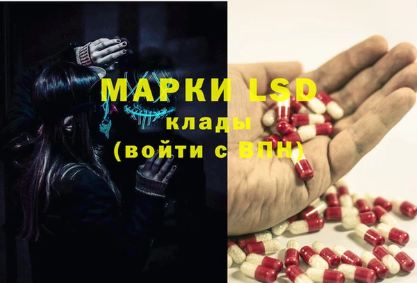 кокс Арсеньев