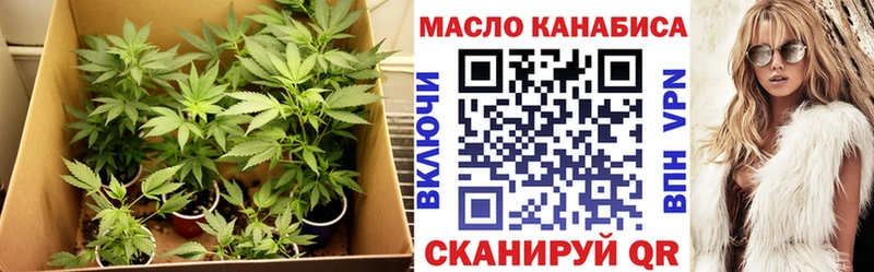 blacksprut ссылки  купить закладку  Гатчина  Дистиллят ТГК THC oil 